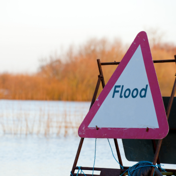 Photo of a flooded field and a sign that says flood