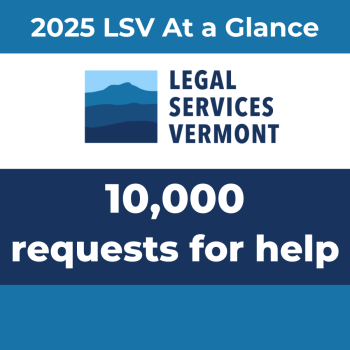 2025 LSV at a Glance. 10,000 requests for help.